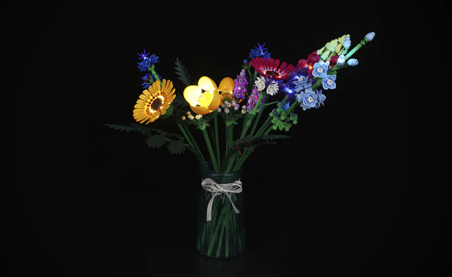 Mojave desert in the dark