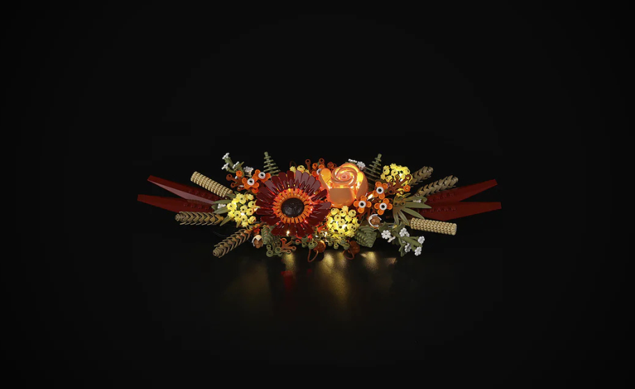 Mojave desert in the dark