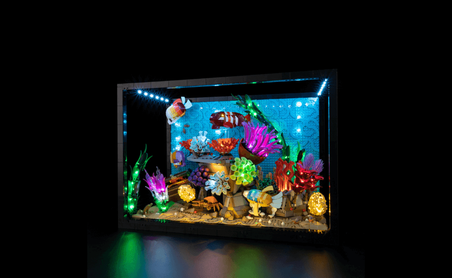 Mojave desert in the dark