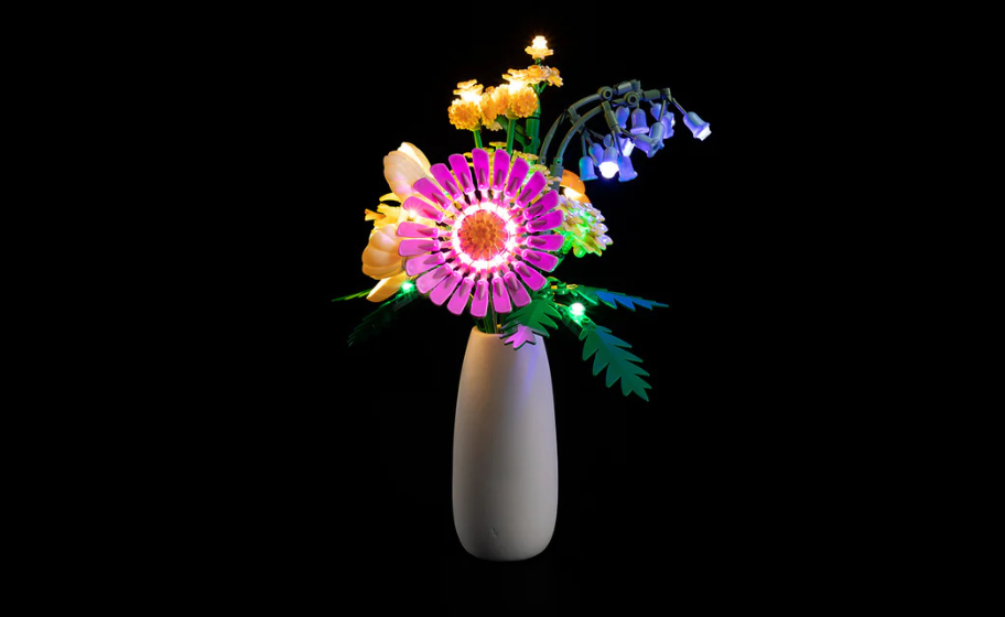 Mojave desert in the dark