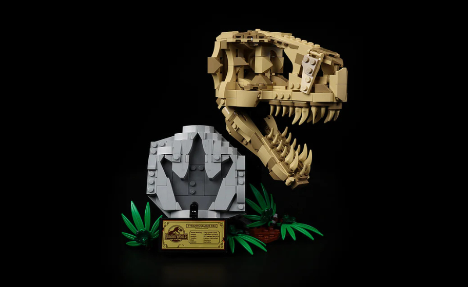 Mojave desert in the sun