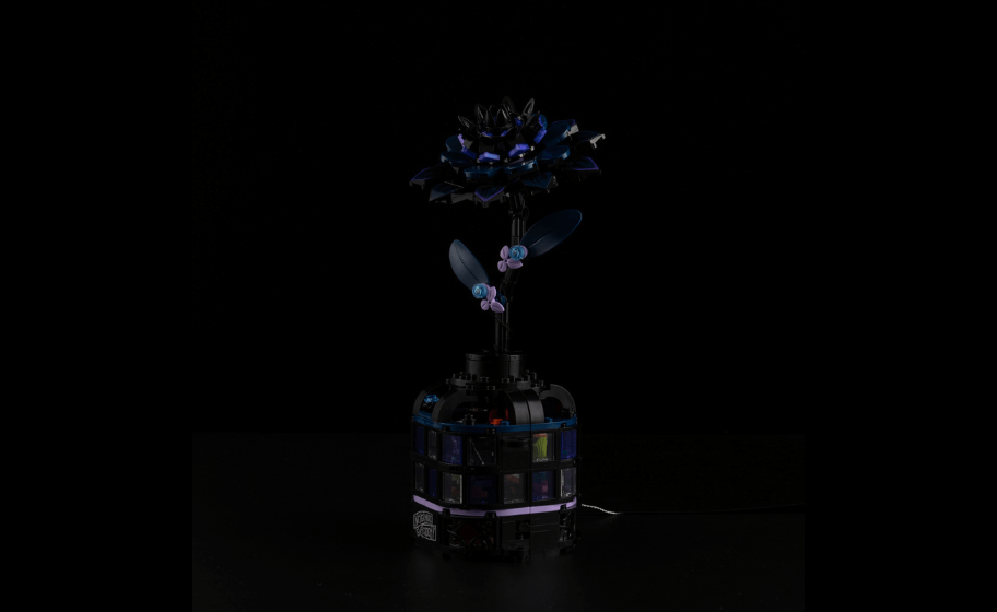 Mojave desert in the sun