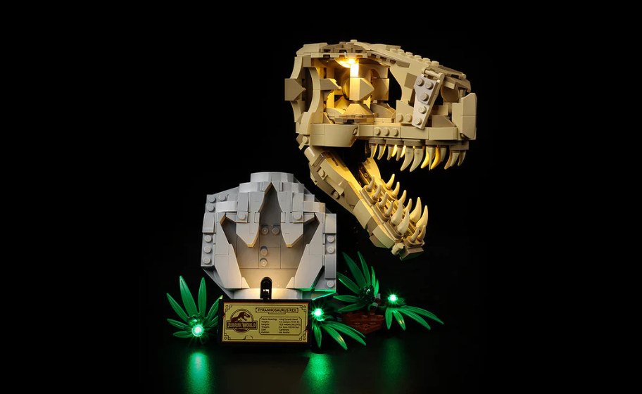 Mojave desert in the dark