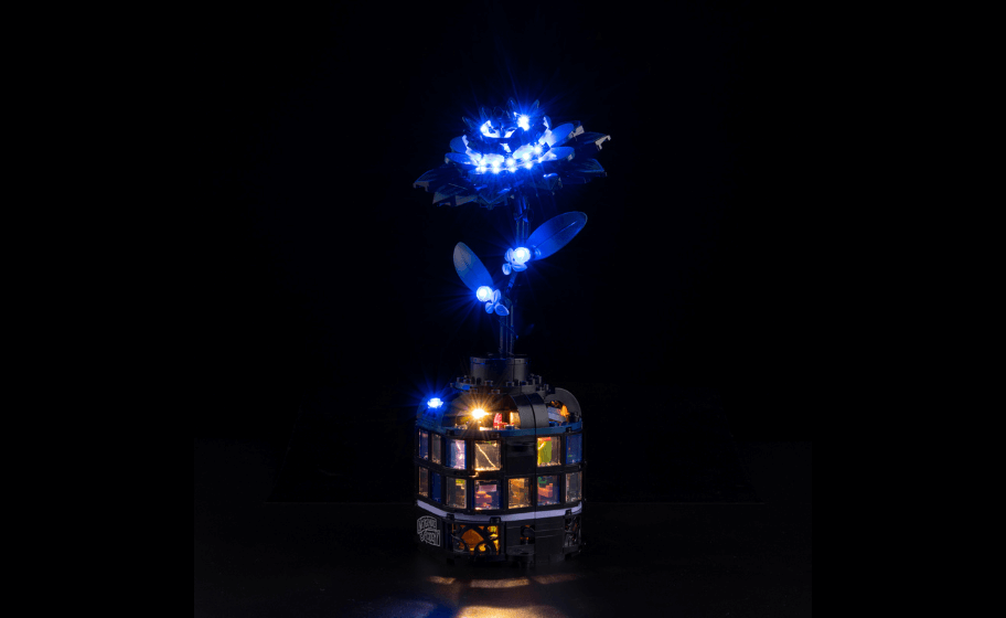 Mojave desert in the dark