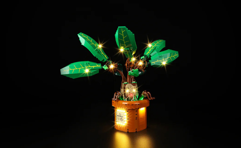 Mojave desert in the dark