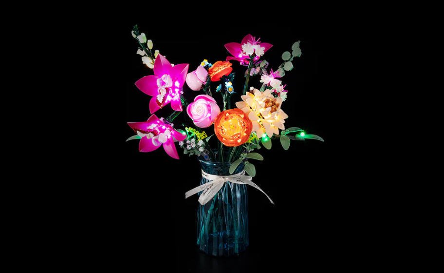 Mojave desert in the dark