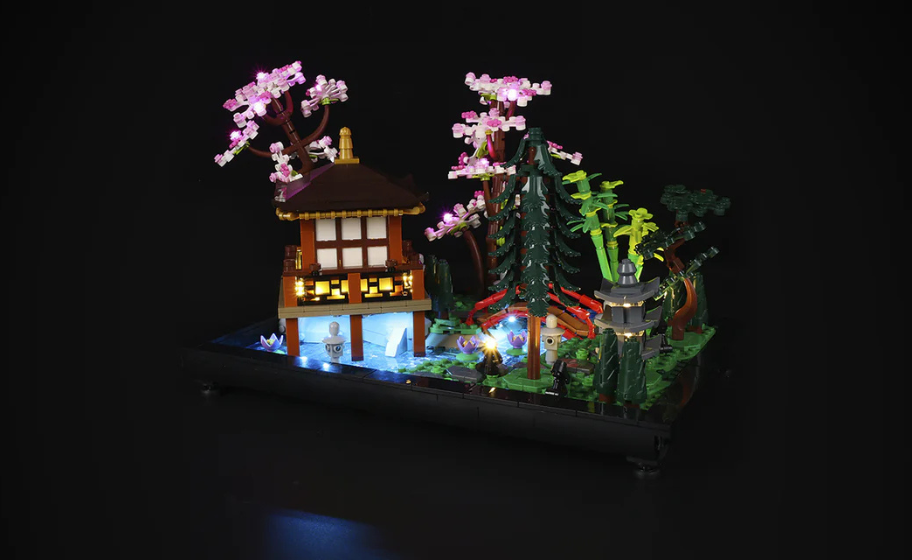 Mojave desert in the dark