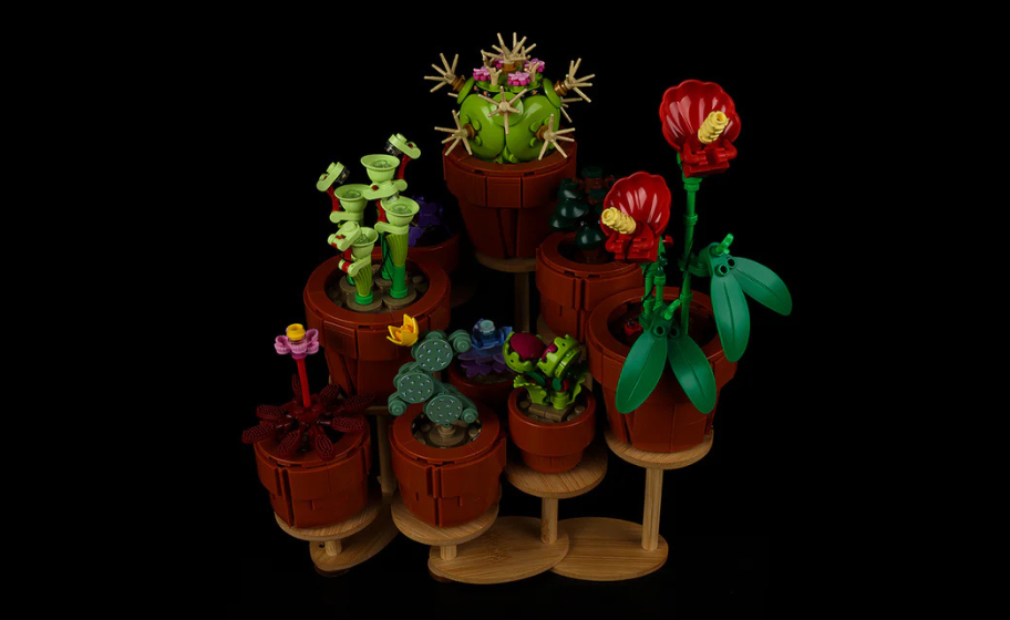 Mojave desert in the sun