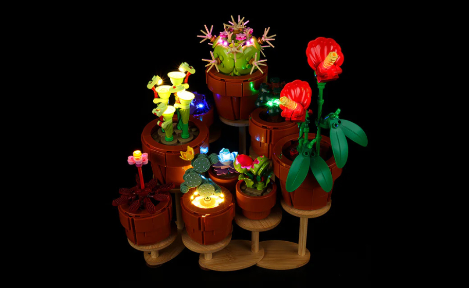 Mojave desert in the dark