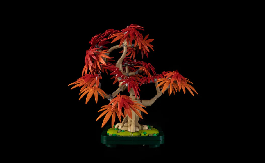 Mojave desert in the sun