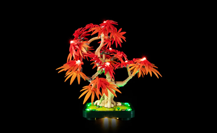 Mojave desert in the dark