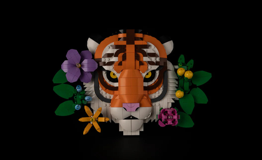 Mojave desert in the sun