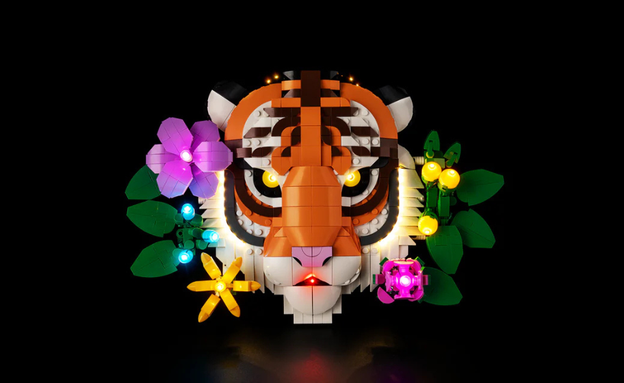 Mojave desert in the dark