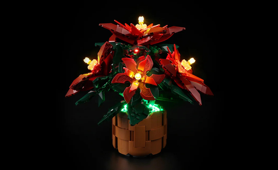 Mojave desert in the dark