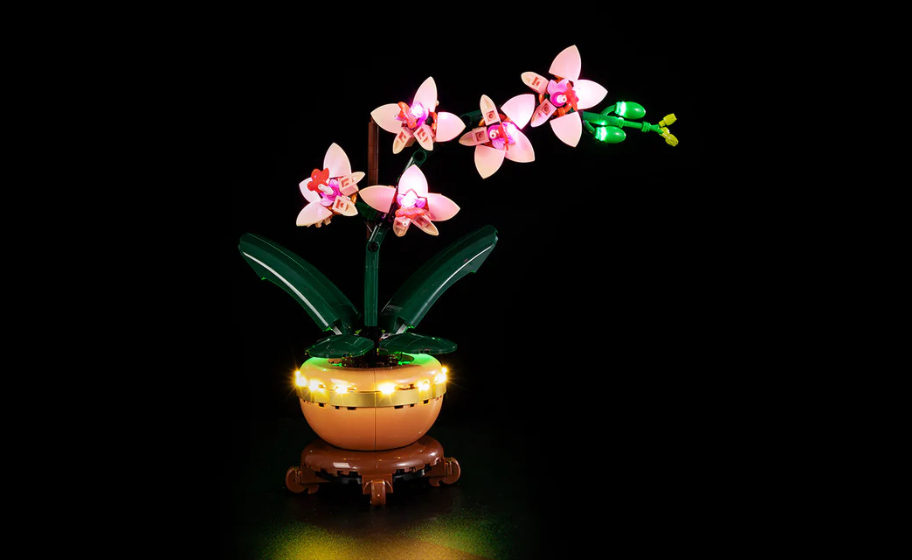 Mojave desert in the dark