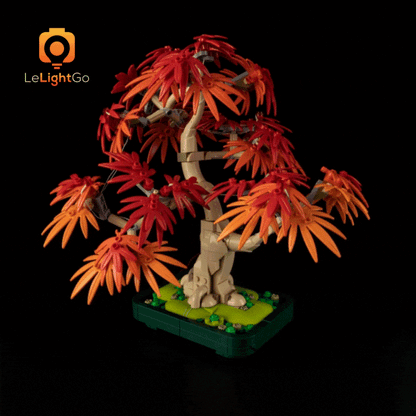 Light Kit For Japanese Red Maple Bonsai Tree 10348