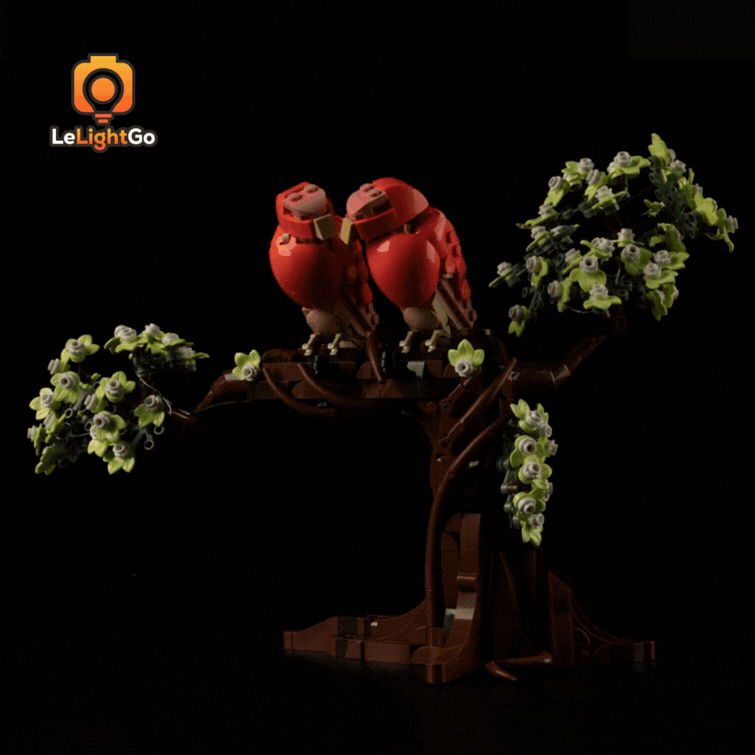 Light Kit For Love Birds 21365