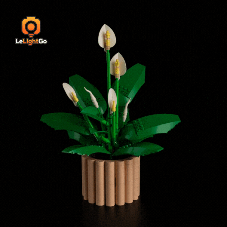 Light Kit For Peace Lily 11504