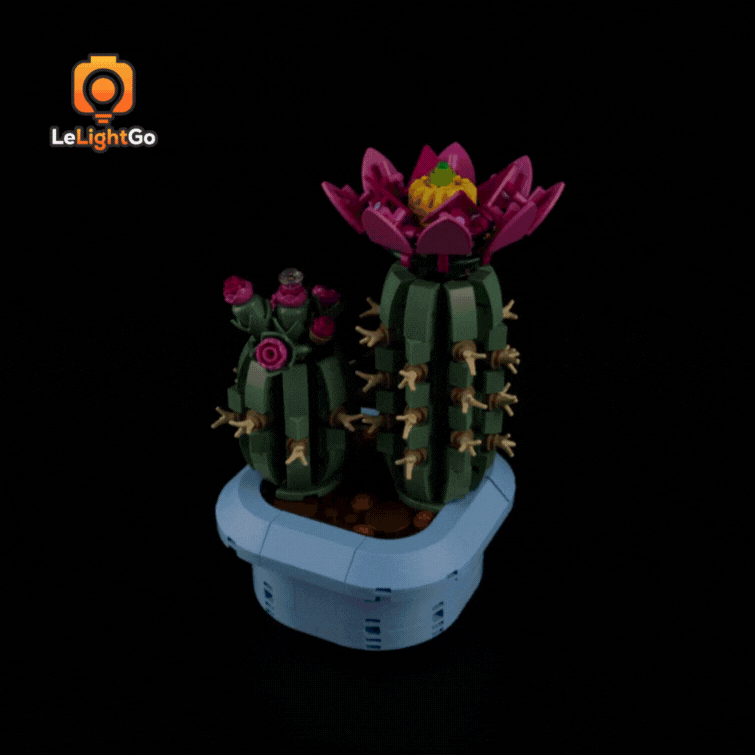 Light Kit For Flowering Cactus 11509
