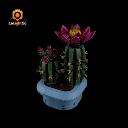 Light Kit For Flowering Cactus 11509