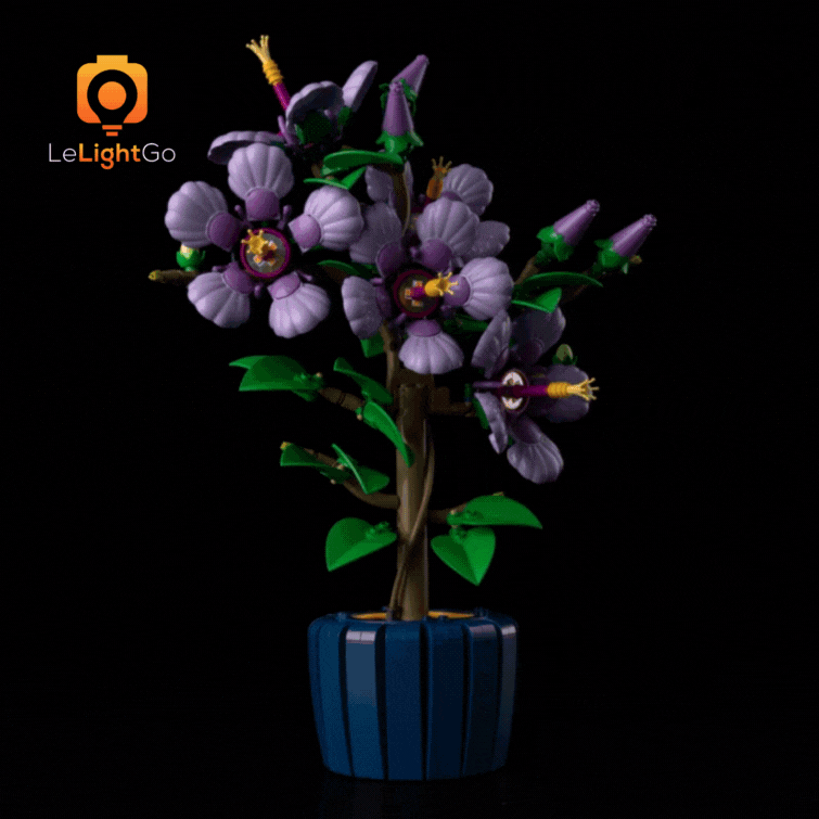 Light Kit For Hibiscus 10372
