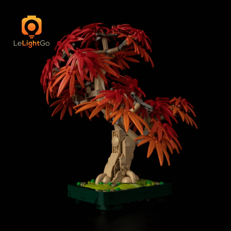 Light Kit For Japanese Red Maple Bonsai Tree 10348