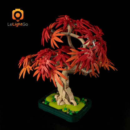 Light Kit For Japanese Red Maple Bonsai Tree 10348