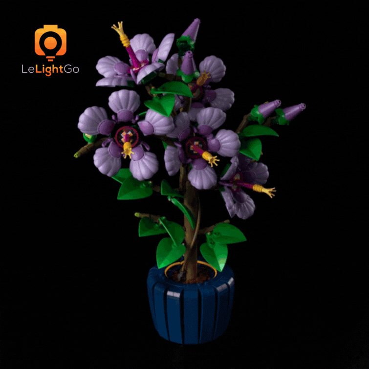 Light Kit For Hibiscus 10372