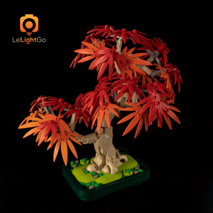 Light Kit For Japanese Red Maple Bonsai Tree 10348