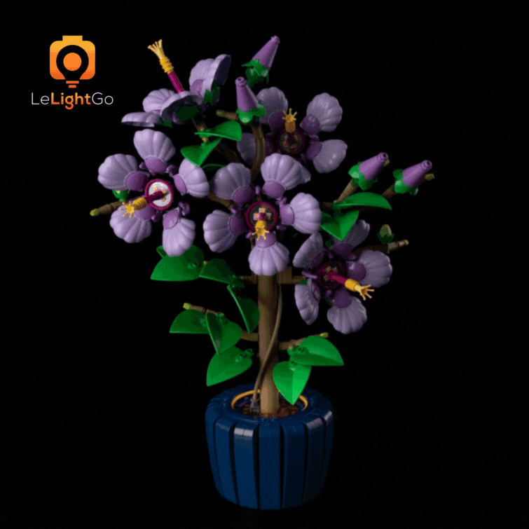 Light Kit For Hibiscus 10372