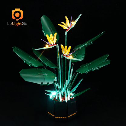 Light Kit For Bird of Paradise 10289