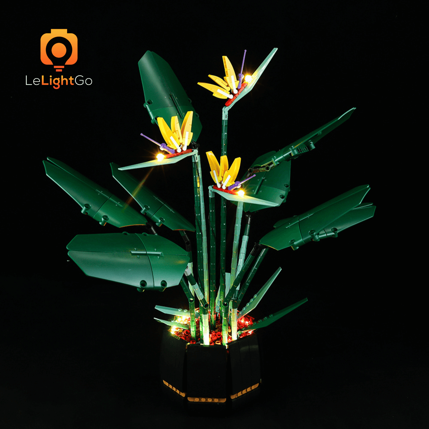 Light Kit For Bird of Paradise 10289