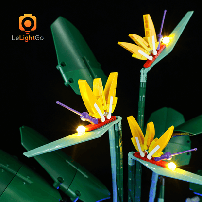 Light Kit For Bird of Paradise 10289