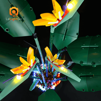 Light Kit For Bird of Paradise 10289