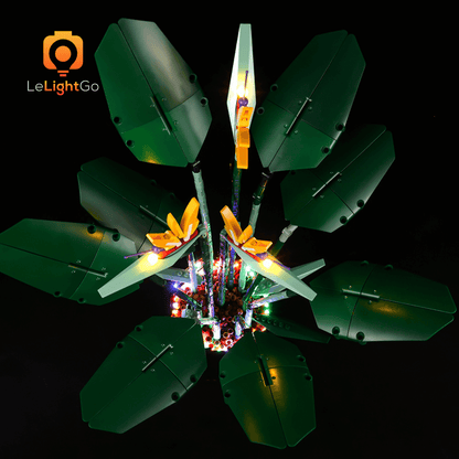 Light Kit For Bird of Paradise 10289