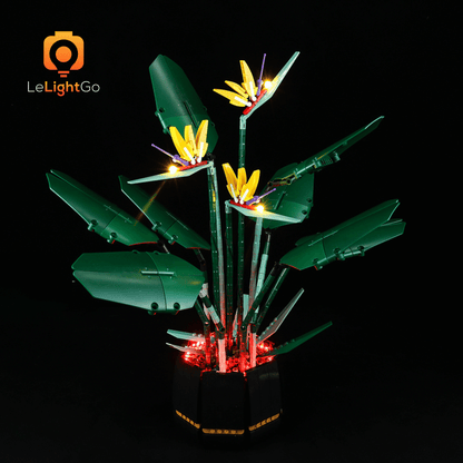 Light Kit For Bird of Paradise 10289