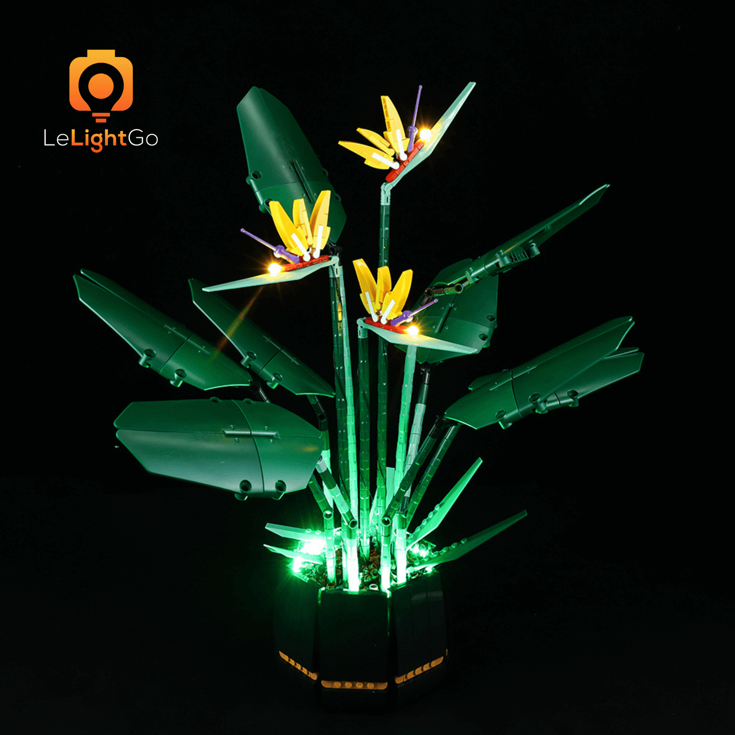 Light Kit For Bird of Paradise 10289