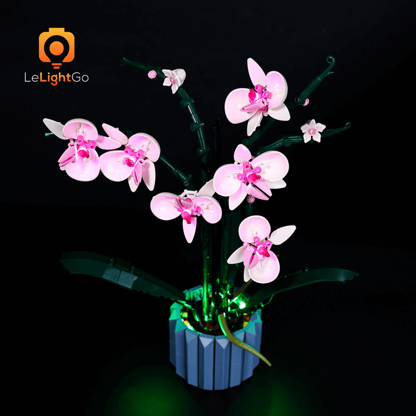 Light Kit For Orchid 10311