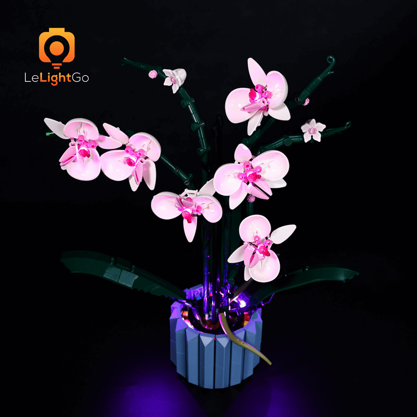 Light Kit For Orchid 10311