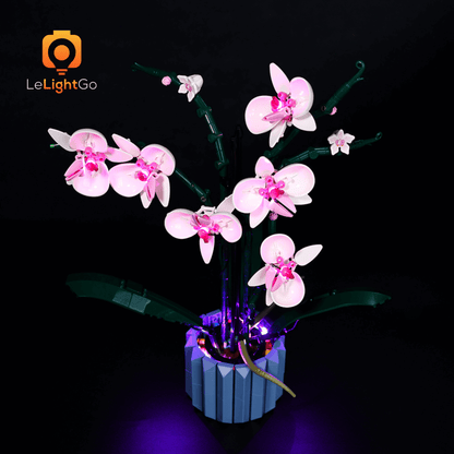 Light Kit For Orchid 10311