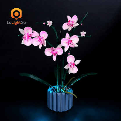 Light Kit For Orchid 10311