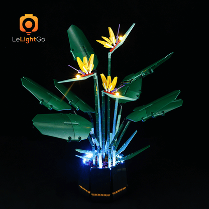Light Kit For Bird of Paradise 10289