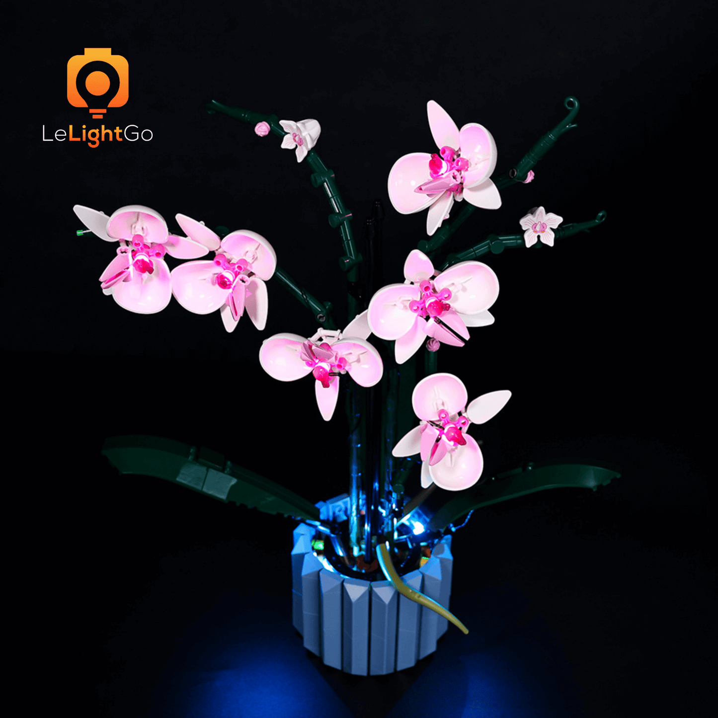 Light Kit For Orchid 10311