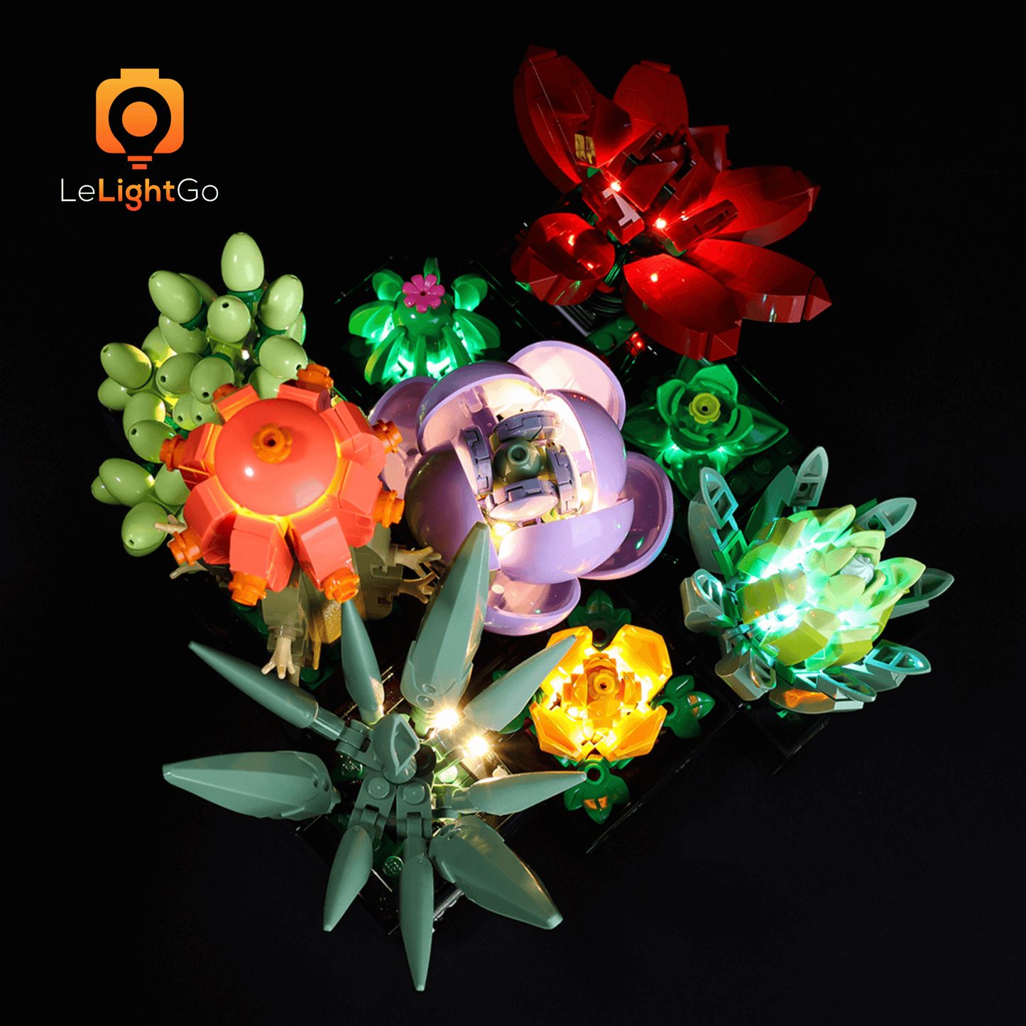 Light Kit For Succulents 10309