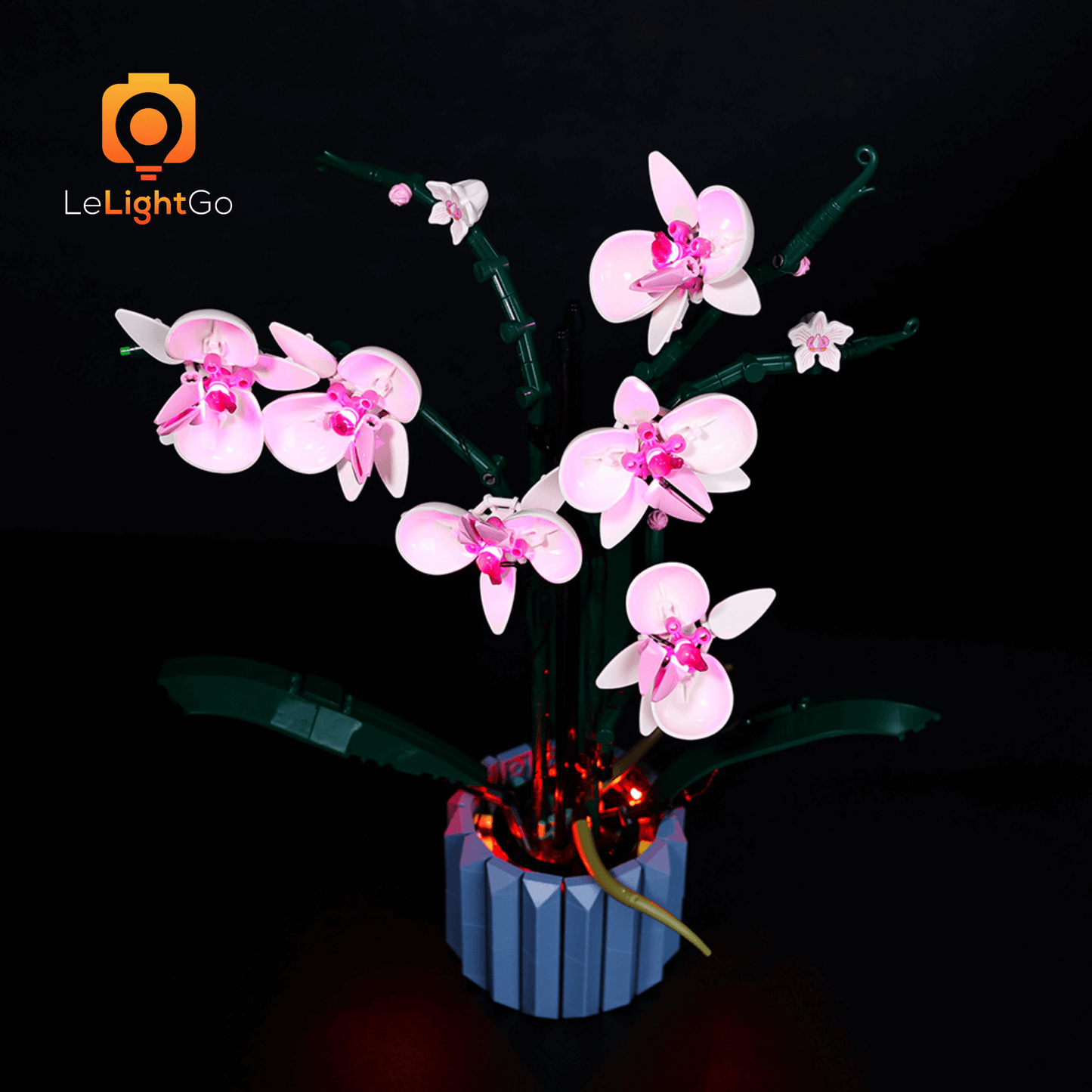 Light Kit For Orchid 10311