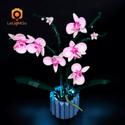 Light Kit For Orchid 10311