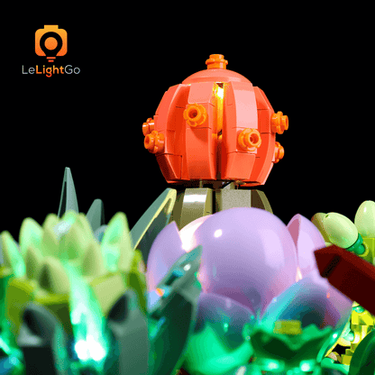 succulents 10309 Light Kit For Succulents 10309 – LeLightGo