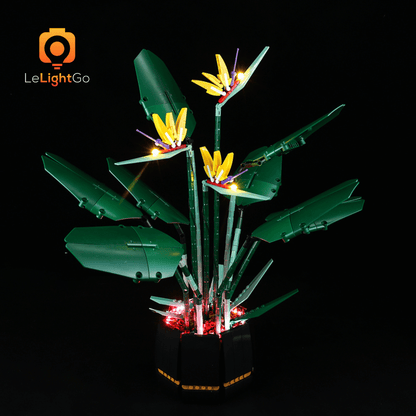Light Kit For Bird of Paradise 10289