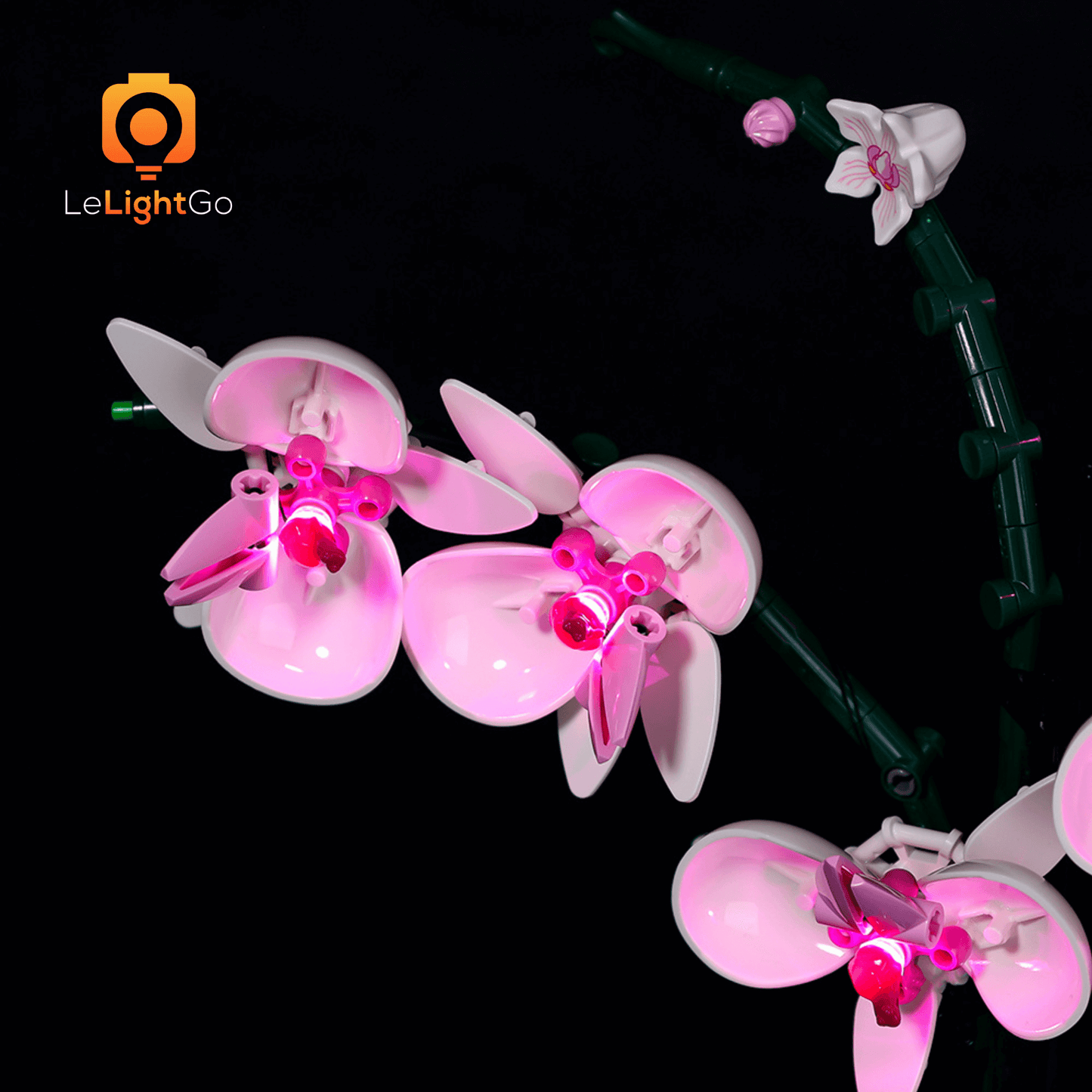 Light Kit For Orchid 10311