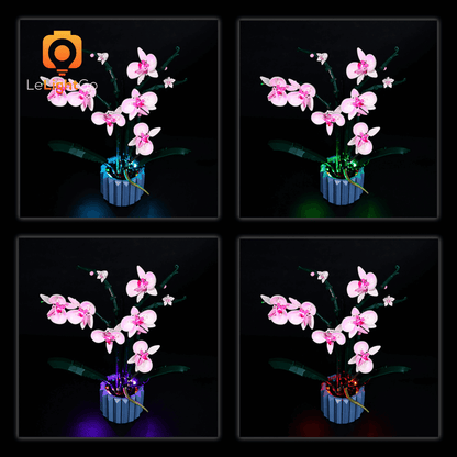 Light Kit For Orchid 10311